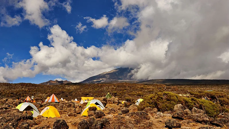 Kilimanjaro Luxury Trekking Experiences